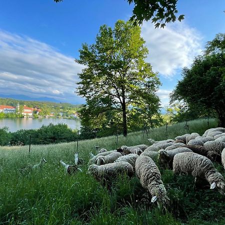 Seeblick Chiemgau, Haus Am Weinberg, 83370 Seeon Oberbayern Exteriér fotografie